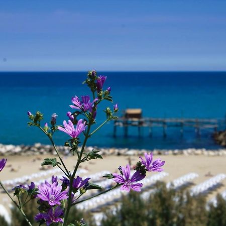 Nel Cuore Del Borgo Antico Termoli Luaran gambar